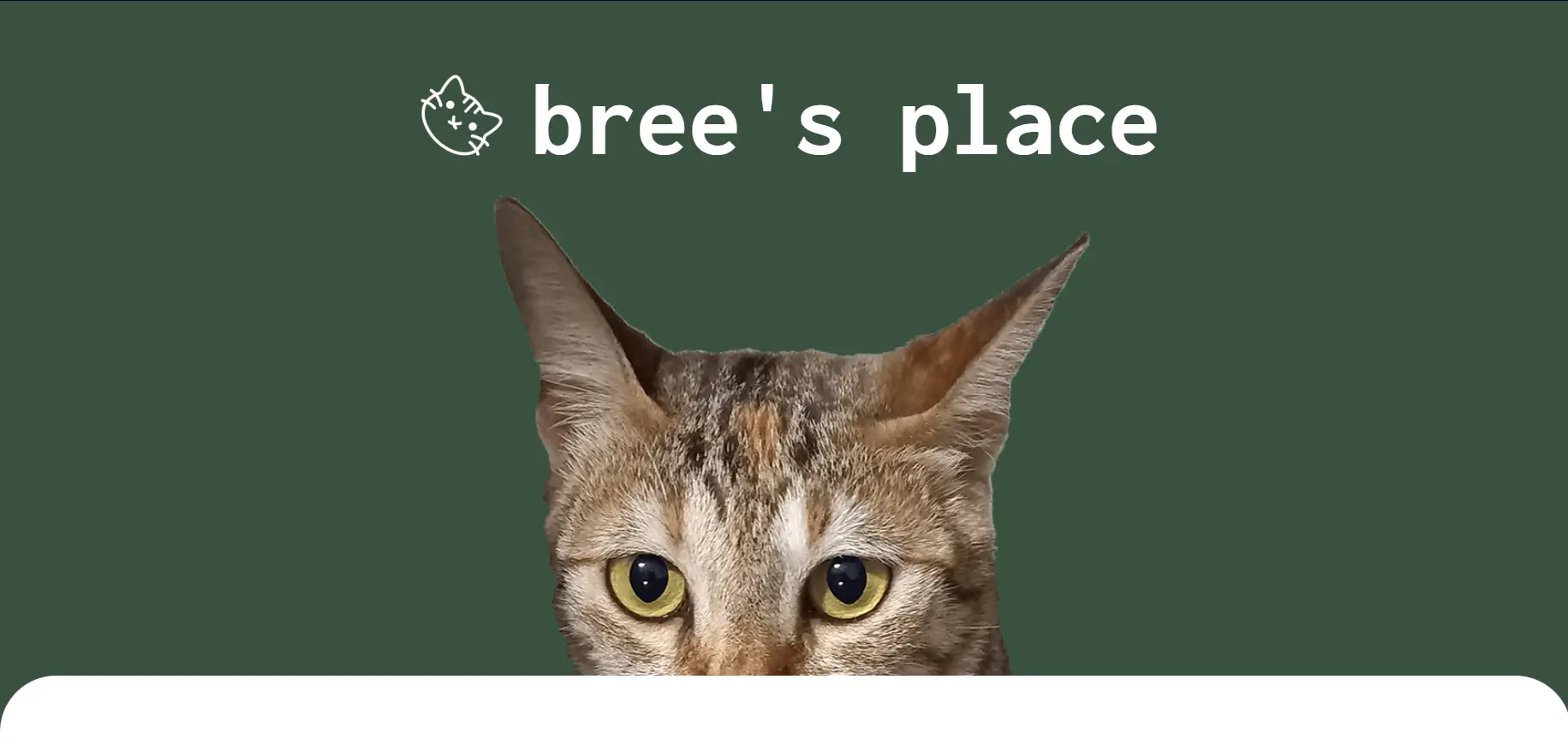 Bree's Place